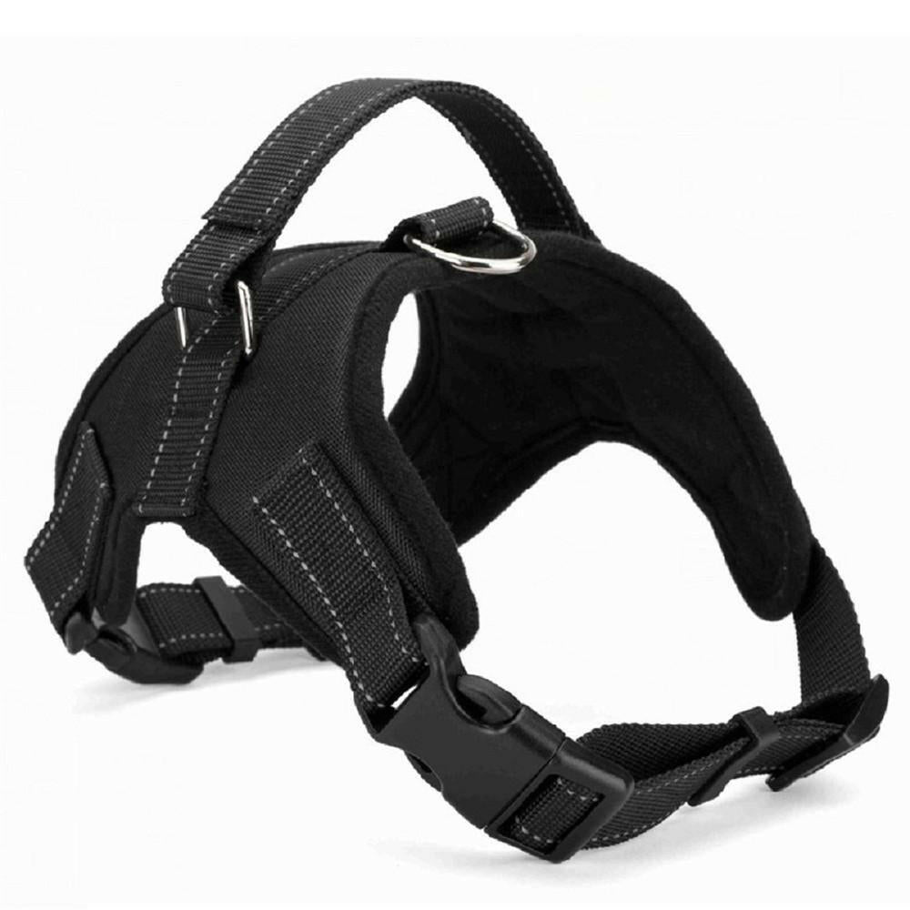 Dog Collar Harness. - linilee