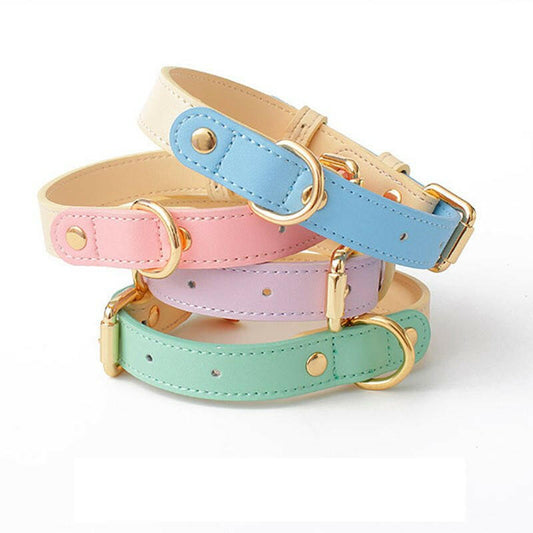 Cat Collar Leash . - linilee