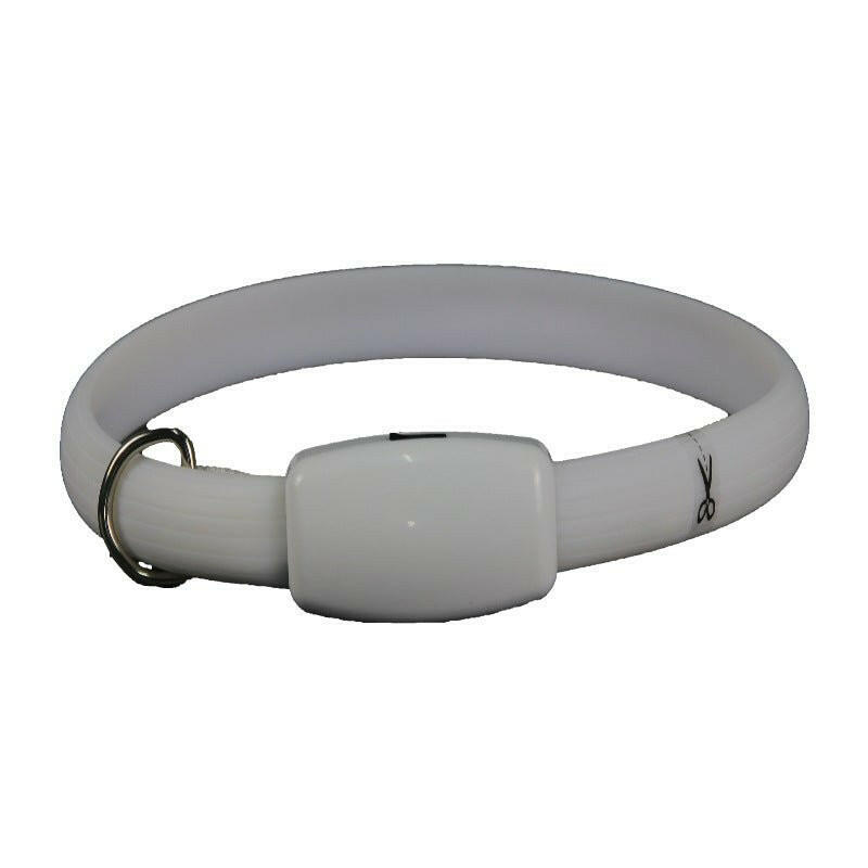 Dog Collar Led Glow Collar Multi-Color. - linilee