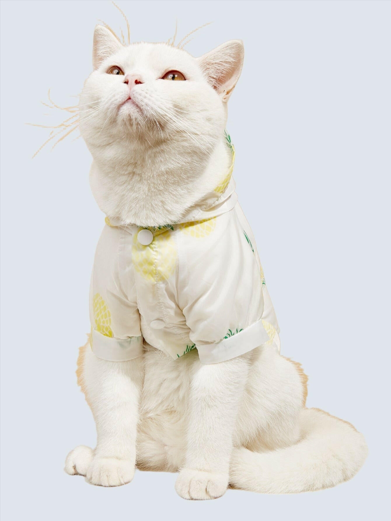 Summer New Pet Cat Supplies Shirt. - linilee