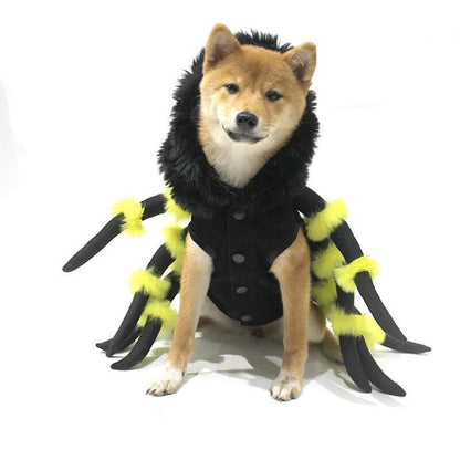 spider transformation costume cosplay dog - linilee