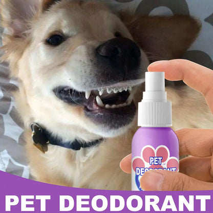 Pet Teeth Cleaning Spray