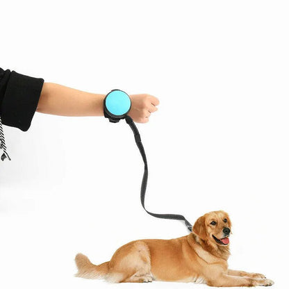 Wrist Retractable Dog Leash. - linilee