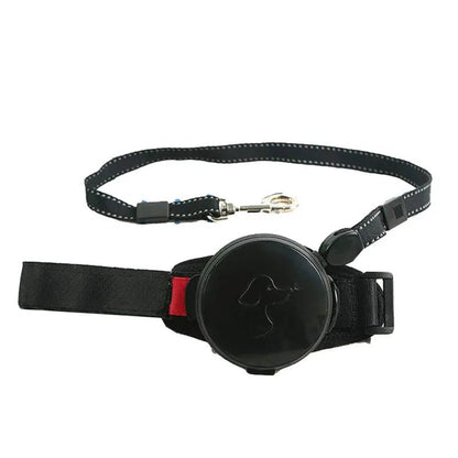 Wrist Retractable Dog Leash. - linilee