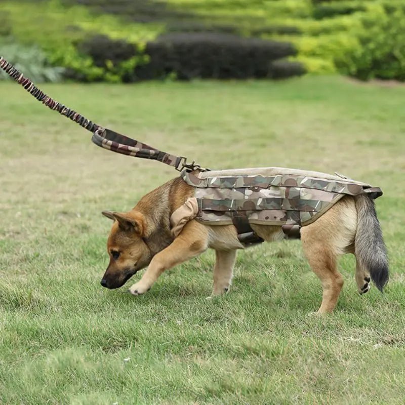 Tactical Dog Rope Training Dog Leash Traction. - linilee