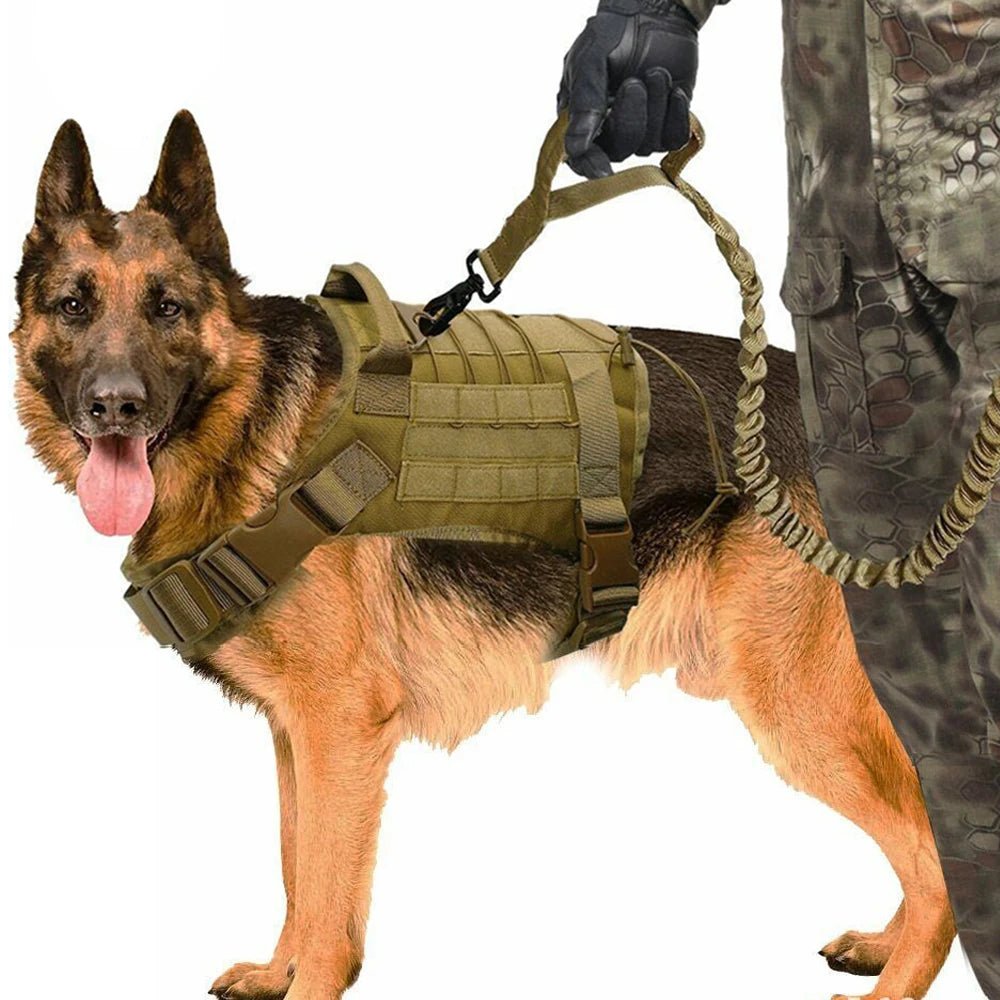 Tactical Dog Vest. - linilee