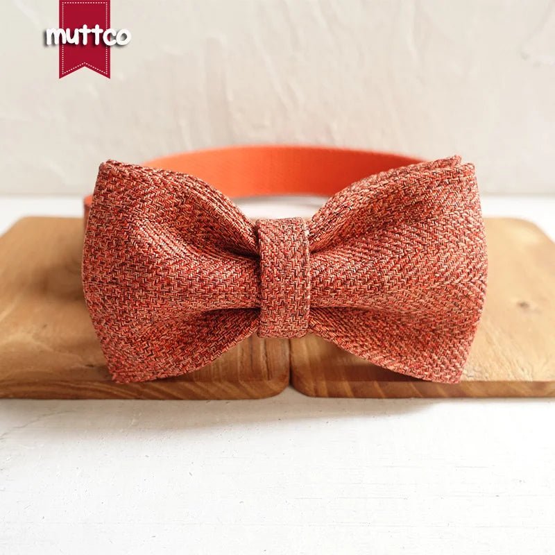 collar THE ORANGE SUIT gentleman Cat Collar - linilee