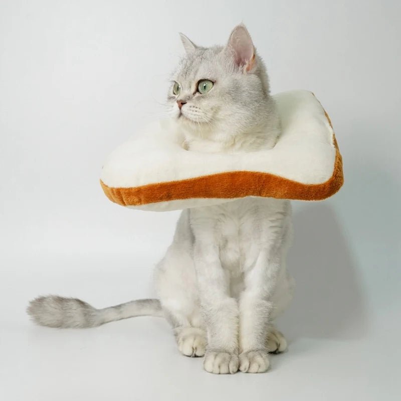 Pet Cat Headgear Toast Headgear cat costumes - linilee