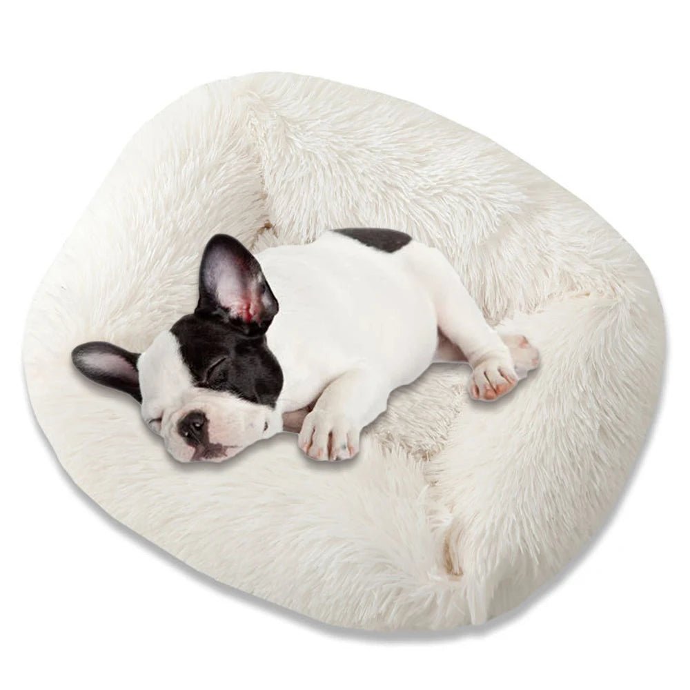 Square Dog Bed. - linilee