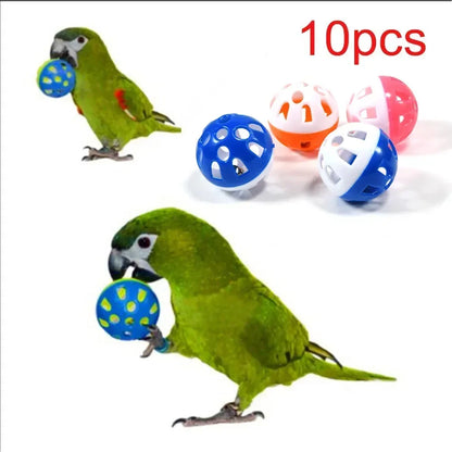 10pcs Pet Parrot Toy - linilee