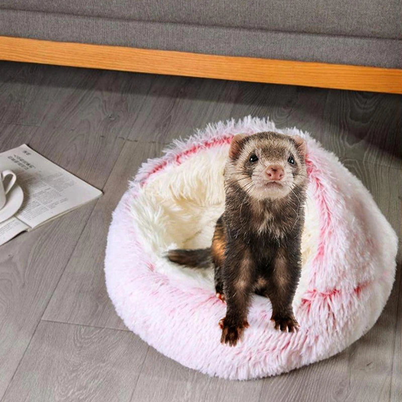 Bed For Ferret Small Pets - linilee