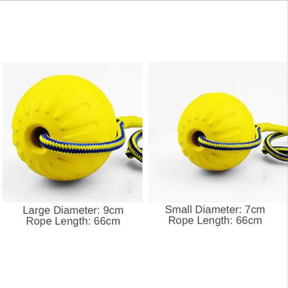 Dog Training Ball on Rope - linilee