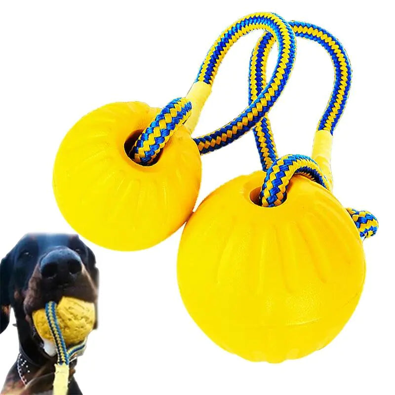 Dog Training Ball on Rope - linilee