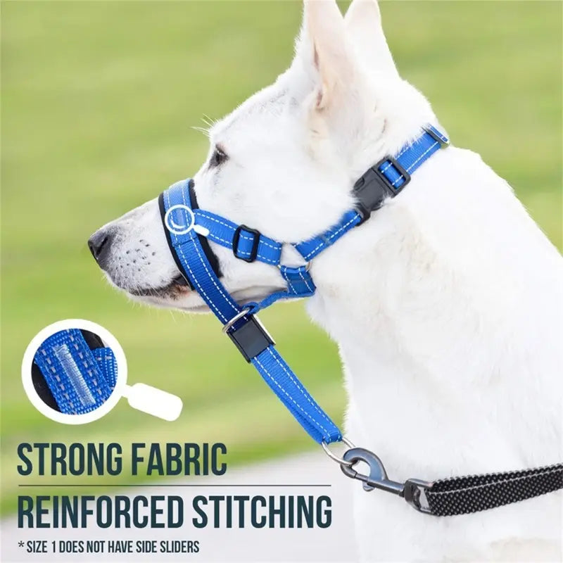 Dog Halter Training Head Collar - linilee