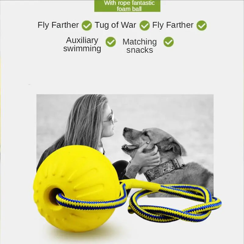 Dog Training Ball on Rope - linilee