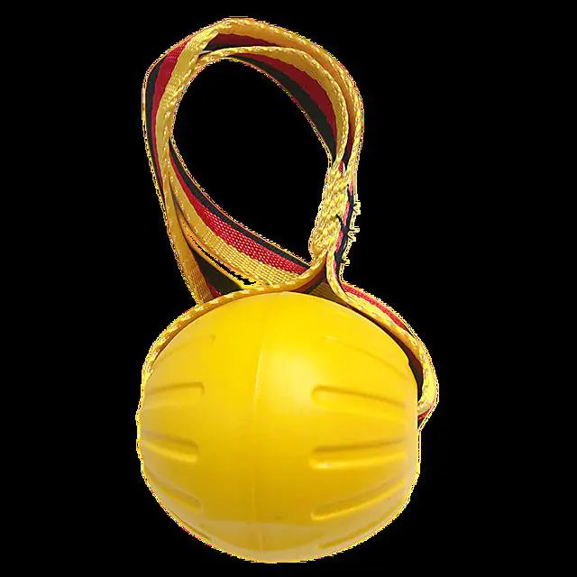 Dog Training Ball on Rope - linilee