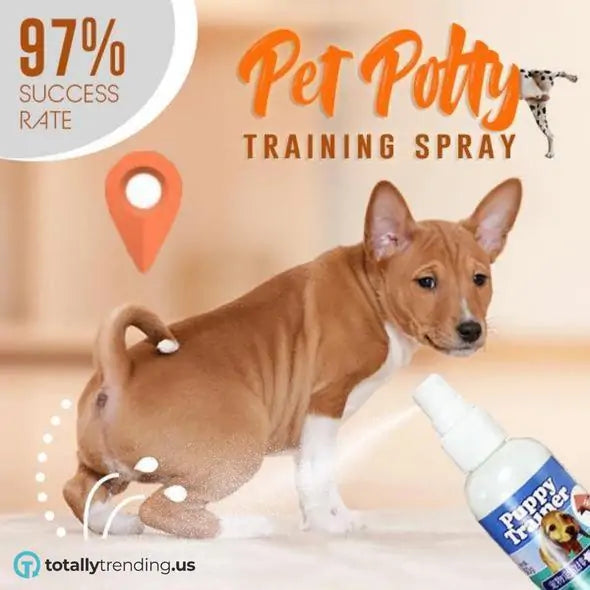 Pet Potty Training Spray - linilee