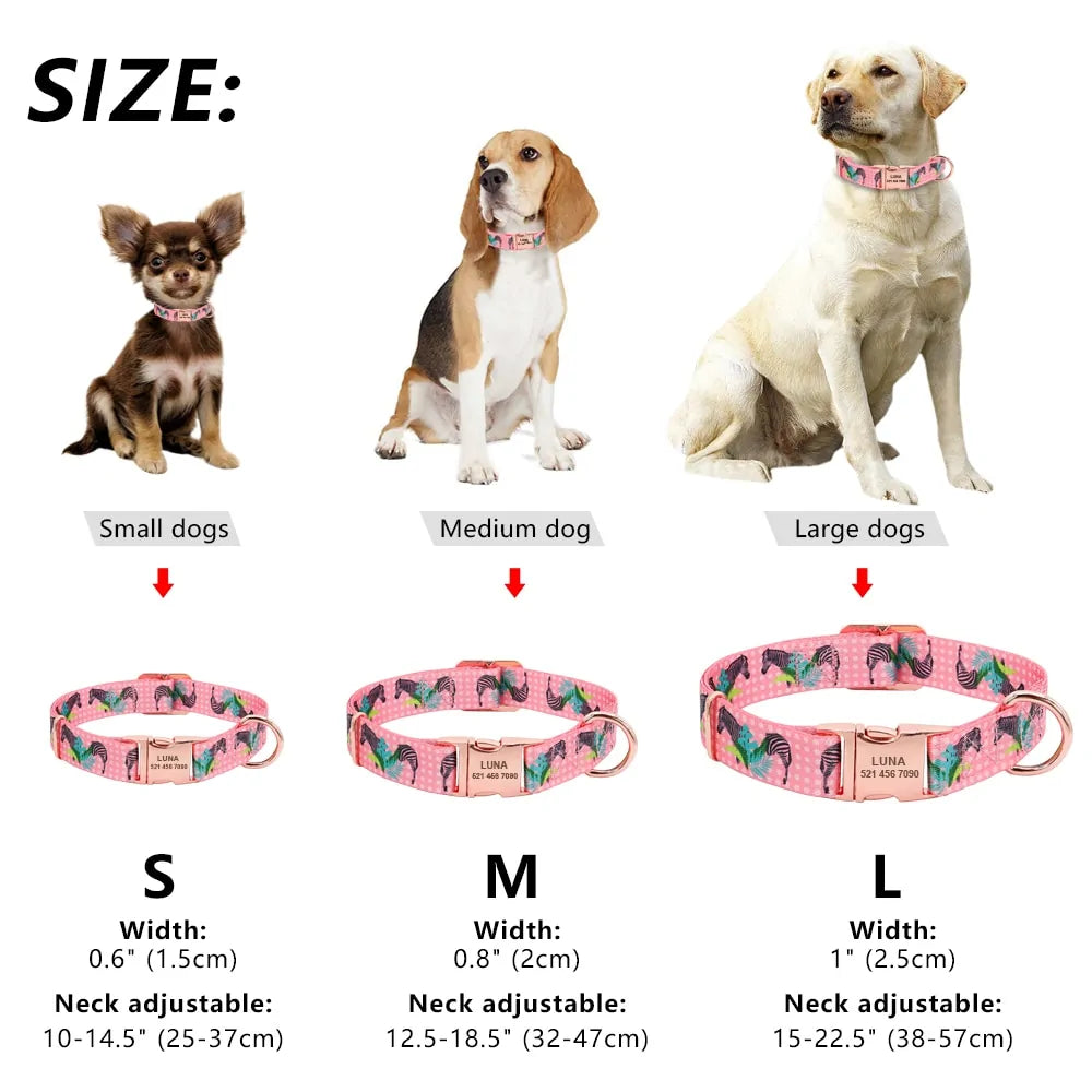 Personalized Custom Nylon Pet Dog Tag Collar - linilee