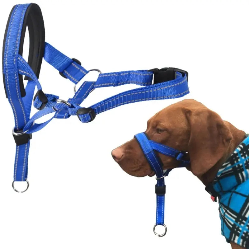 Dog Halter Training Head Collar - linilee