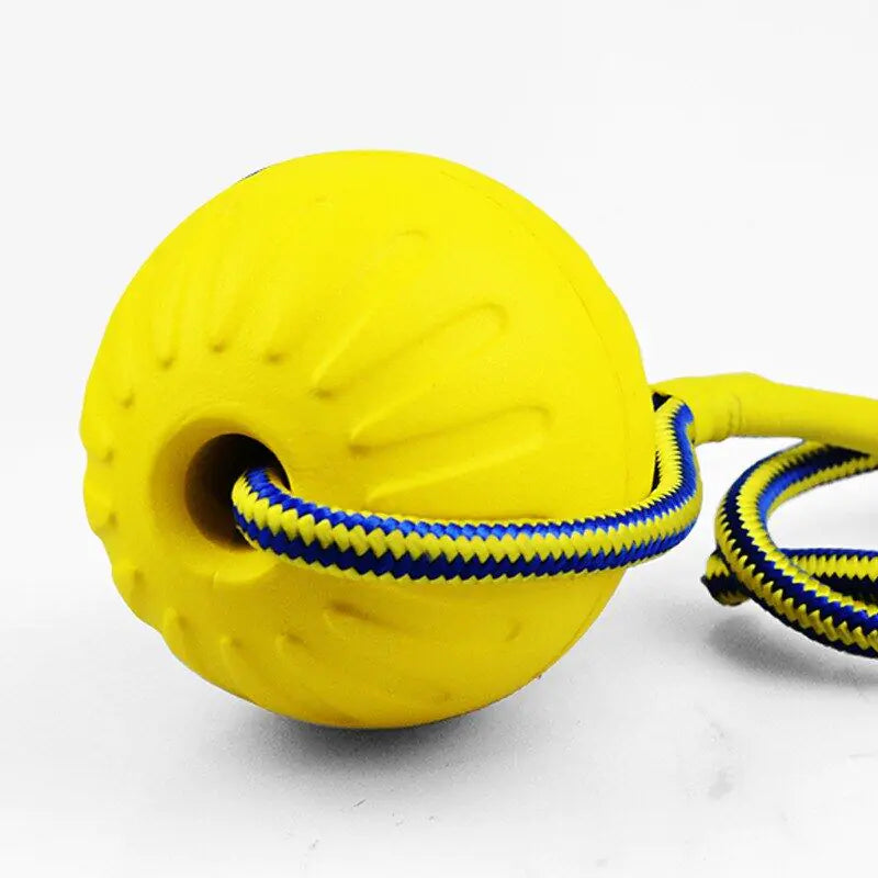 Dog Training Ball on Rope - linilee