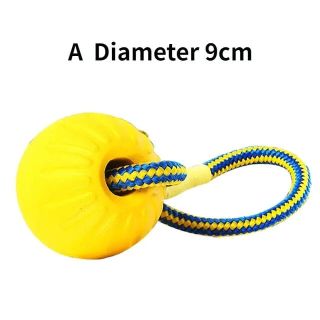 Dog Training Ball on Rope - linilee