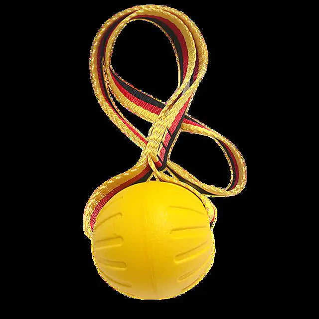 Dog Training Ball on Rope - linilee