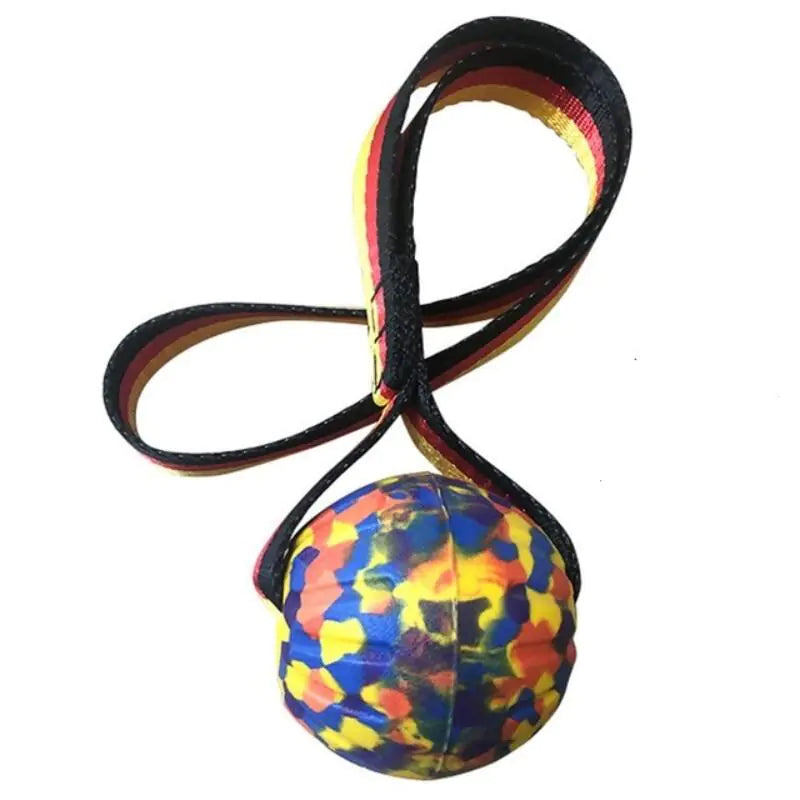 Dog Training Ball on Rope - linilee